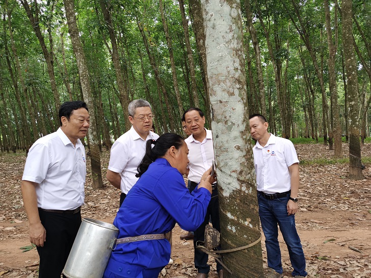 中国·太阳集团tcy8722(股份)有限公司-官方网站