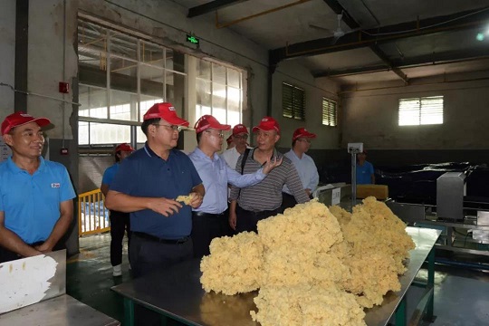 中国·太阳集团tcy8722(股份)有限公司-官方网站
