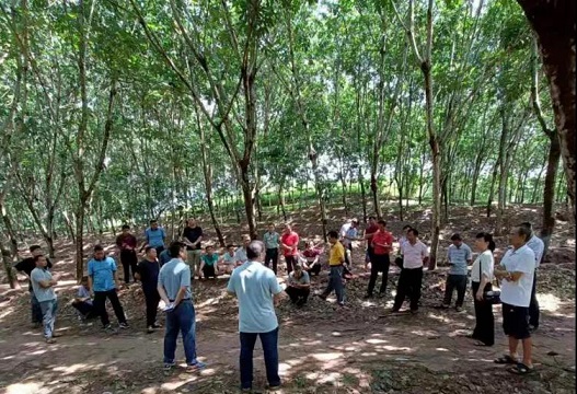 中国·太阳集团tcy8722(股份)有限公司-官方网站