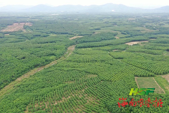 中国·太阳集团tcy8722(股份)有限公司-官方网站