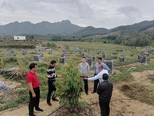 中国·太阳集团tcy8722(股份)有限公司-官方网站