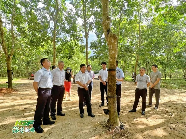 中国·太阳集团tcy8722(股份)有限公司-官方网站