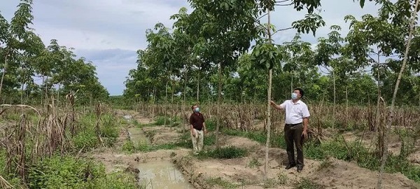 中国·太阳集团tcy8722(股份)有限公司-官方网站
