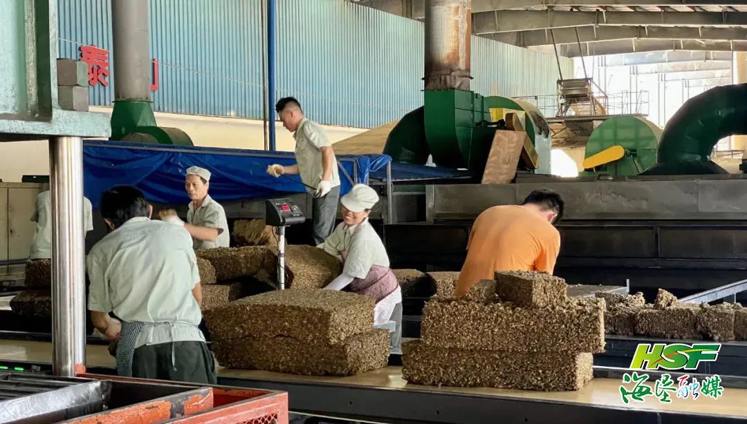 中国·太阳集团tcy8722(股份)有限公司-官方网站