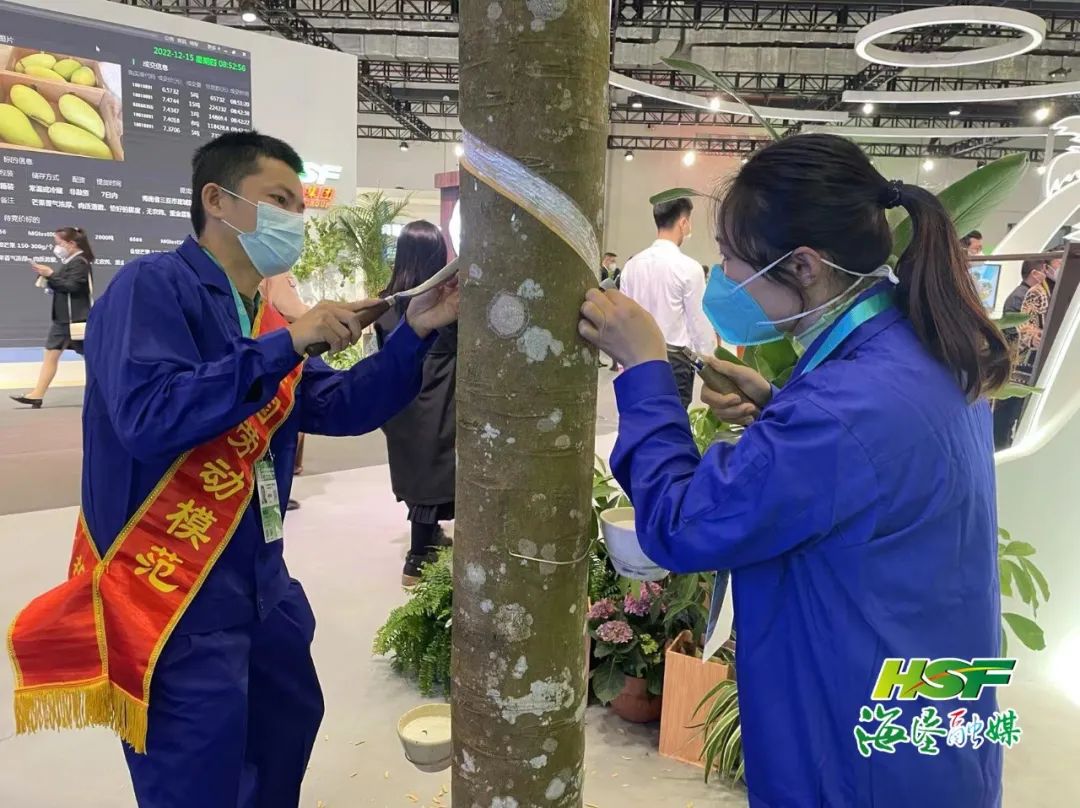 中国·太阳集团tcy8722(股份)有限公司-官方网站