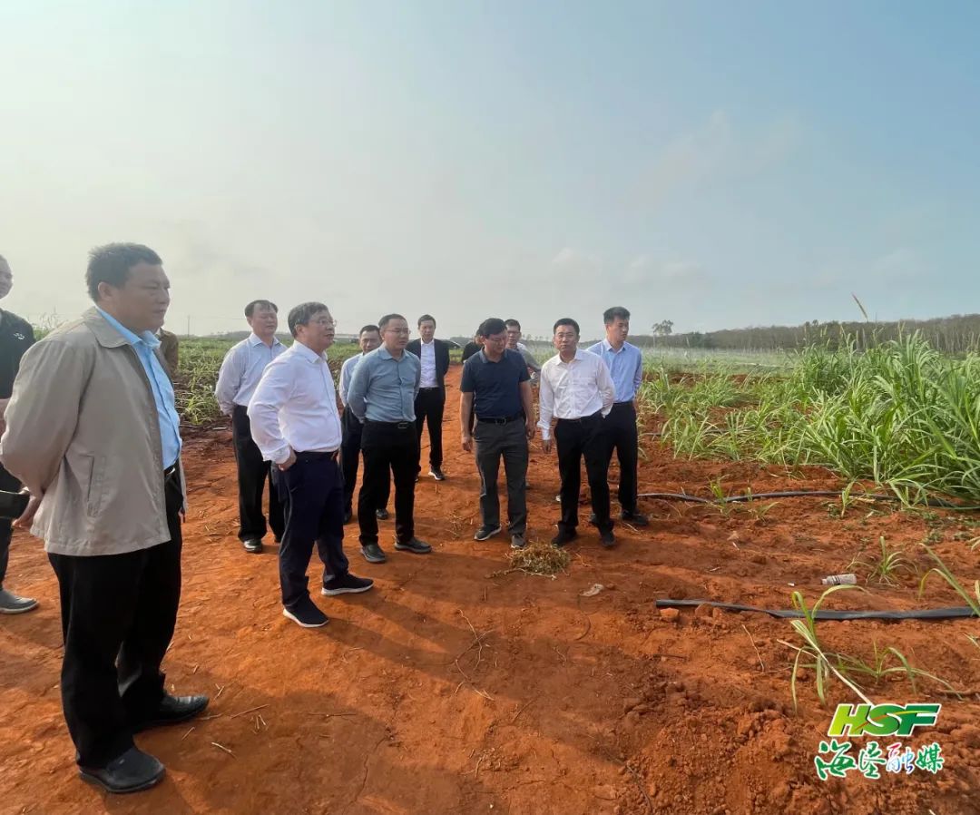 中国·太阳集团tcy8722(股份)有限公司-官方网站