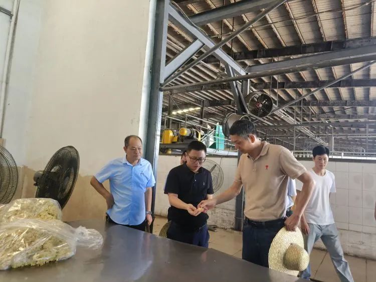 中国·太阳集团tcy8722(股份)有限公司-官方网站