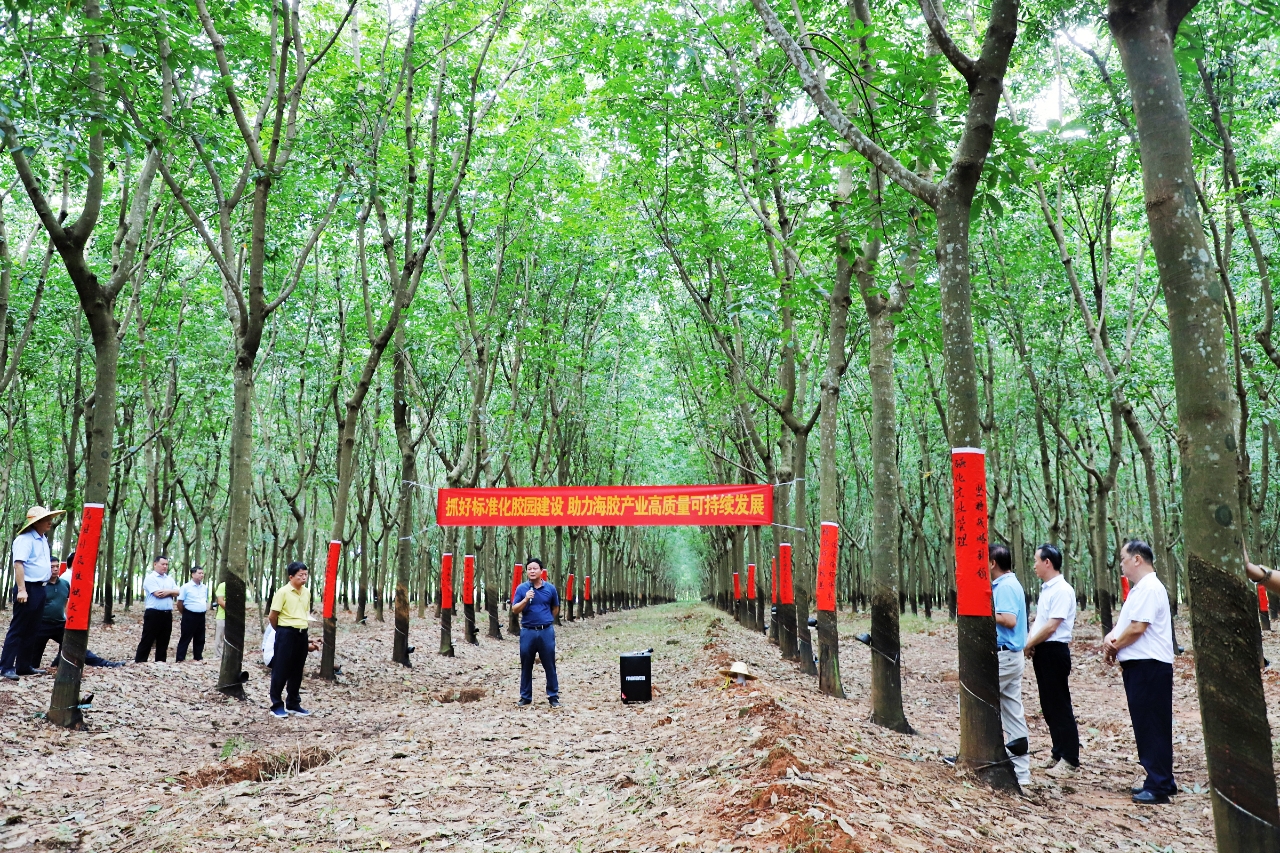 中国·太阳集团tcy8722(股份)有限公司-官方网站