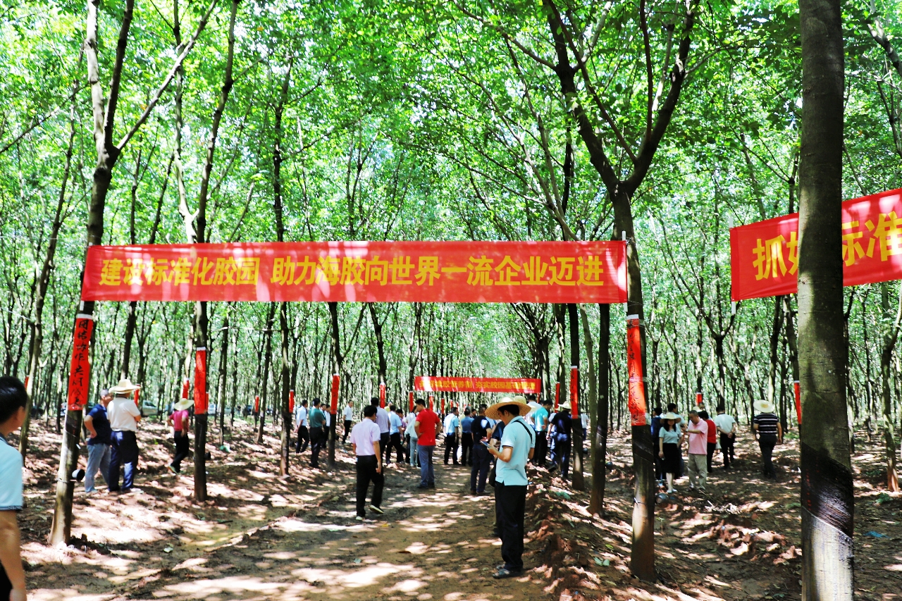 中国·太阳集团tcy8722(股份)有限公司-官方网站